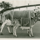 Family life in the public eye: Elsie and her daughter Beulah.